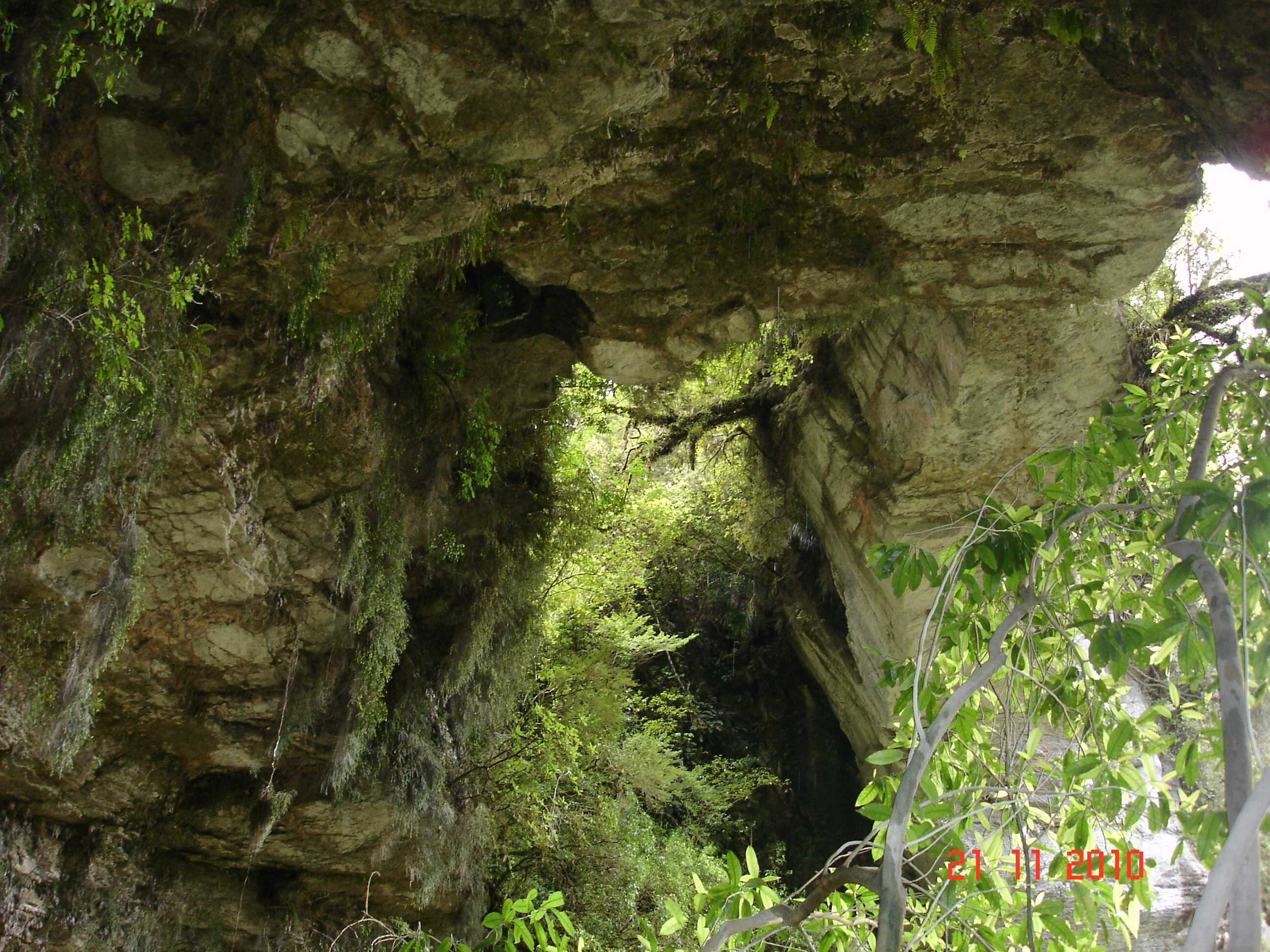 Oparara Arch Track-19