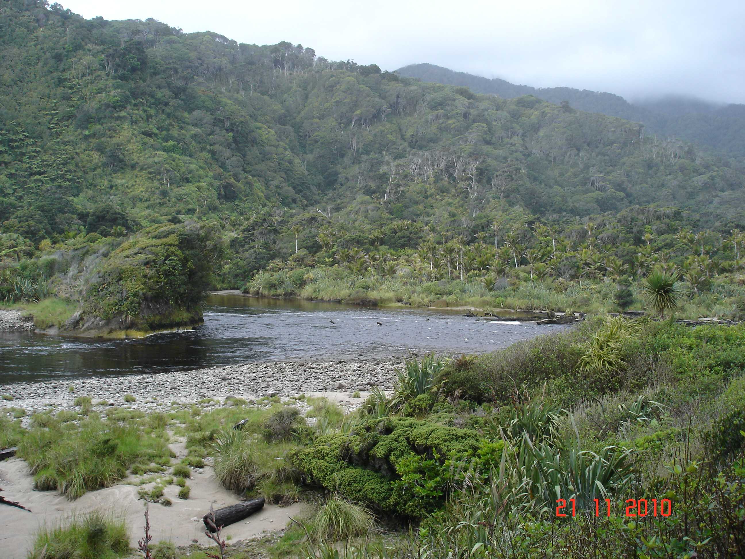 Heaphy Track-8