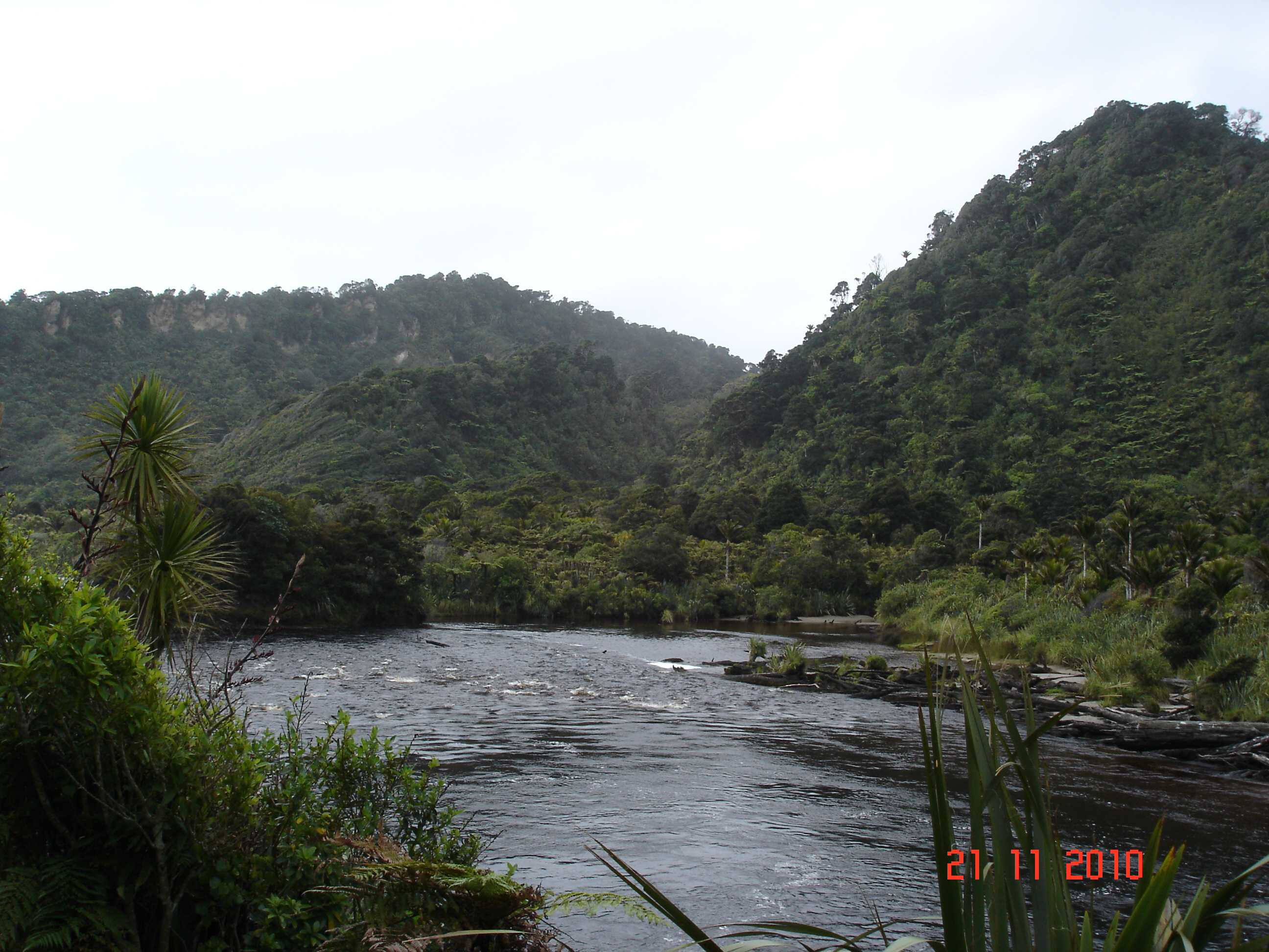 Heaphy Track-11