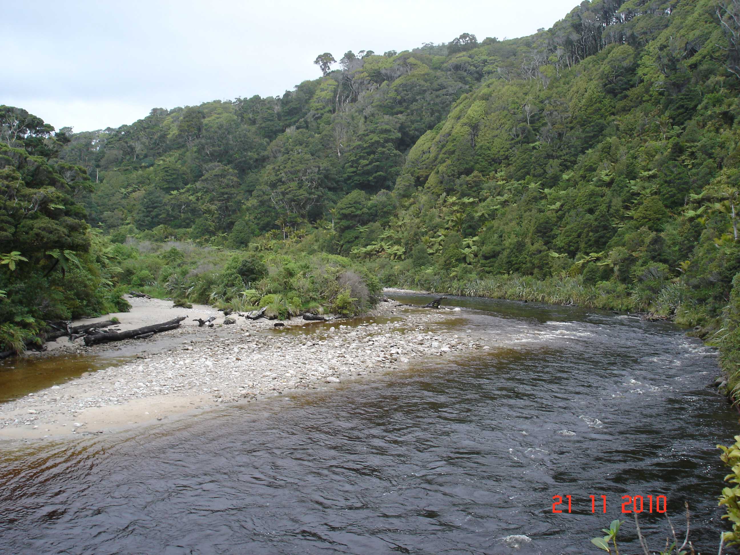 Heaphy Track-13