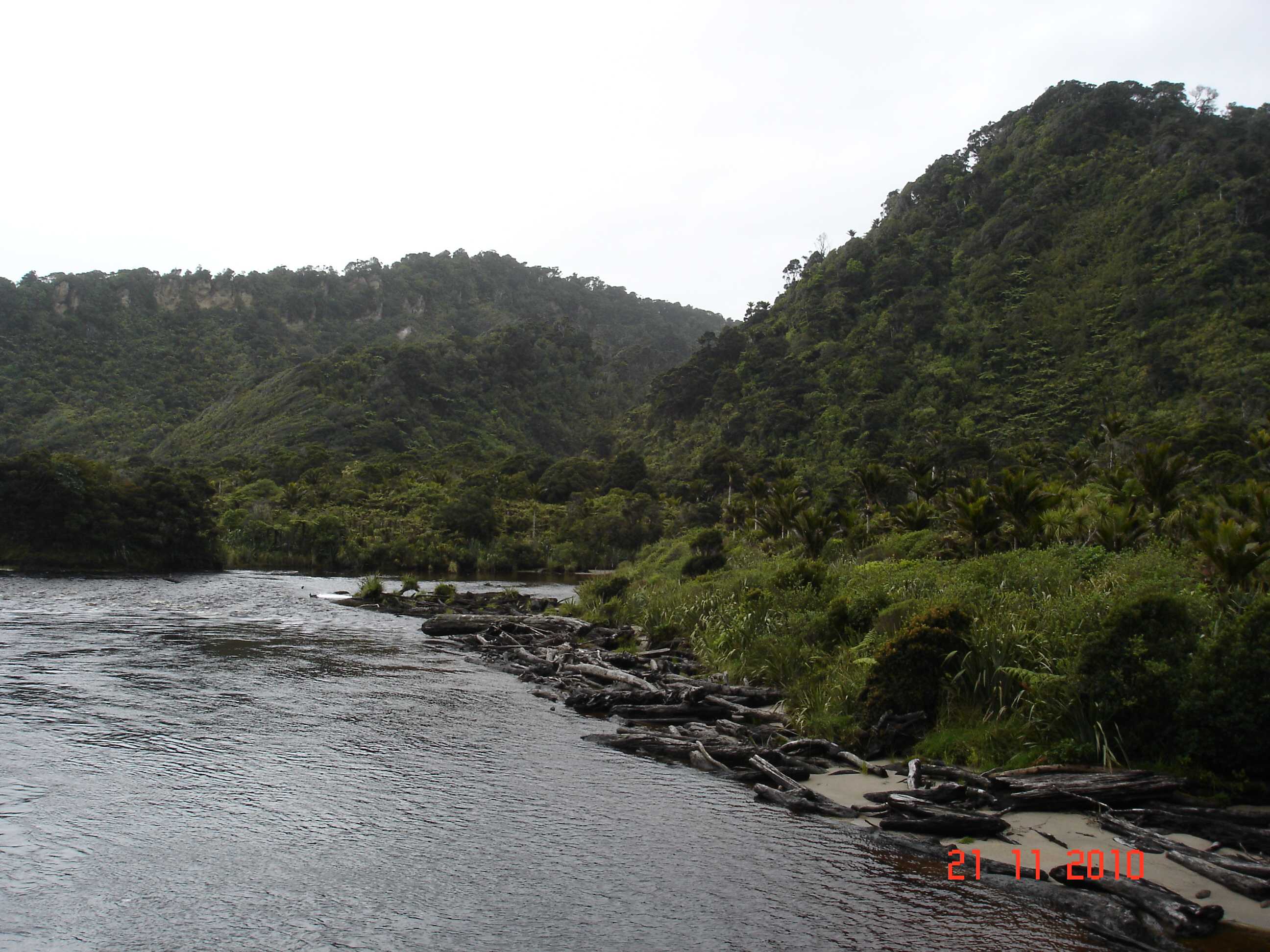 Heaphy Track-14