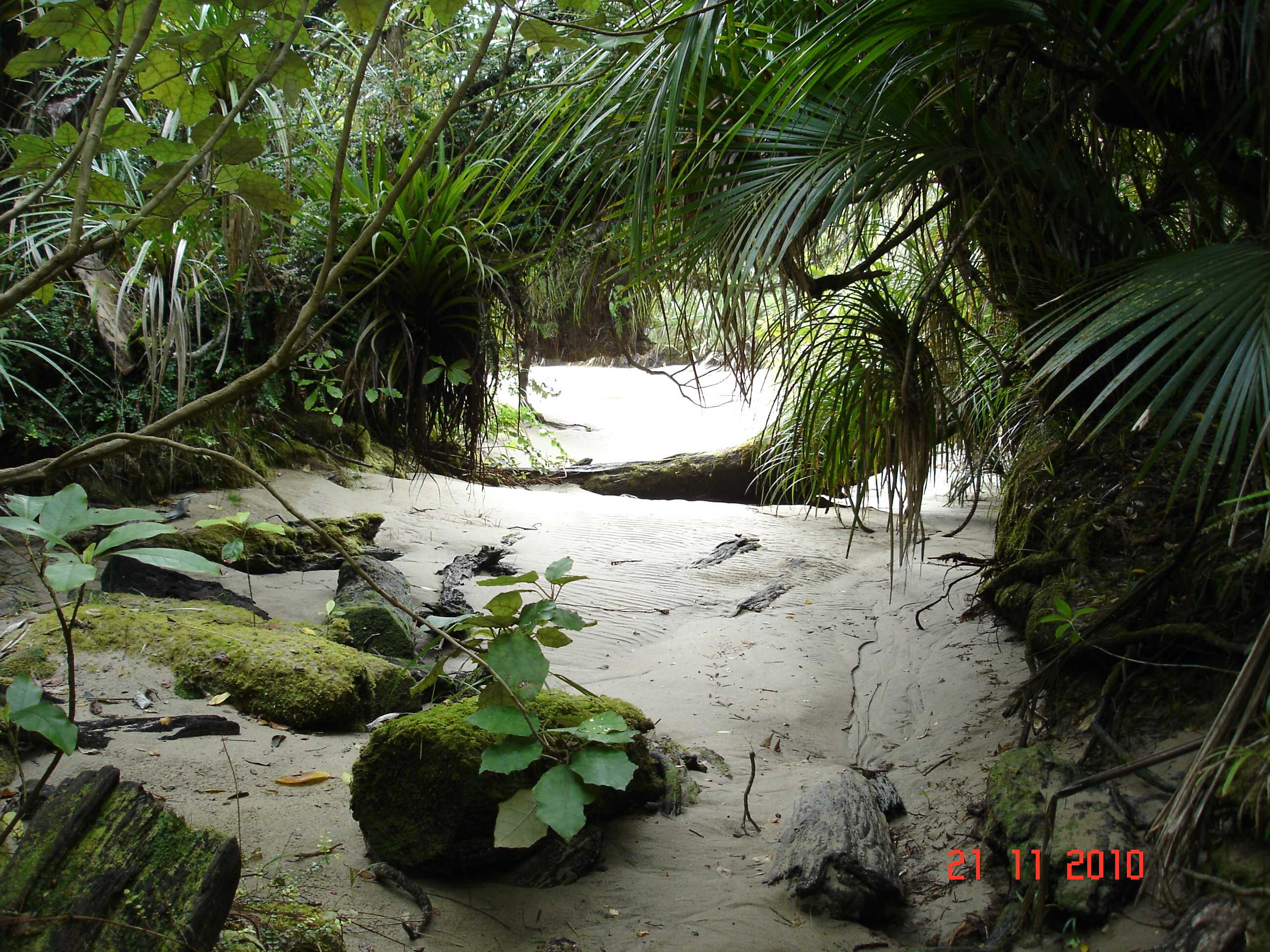 Heaphy Track-25