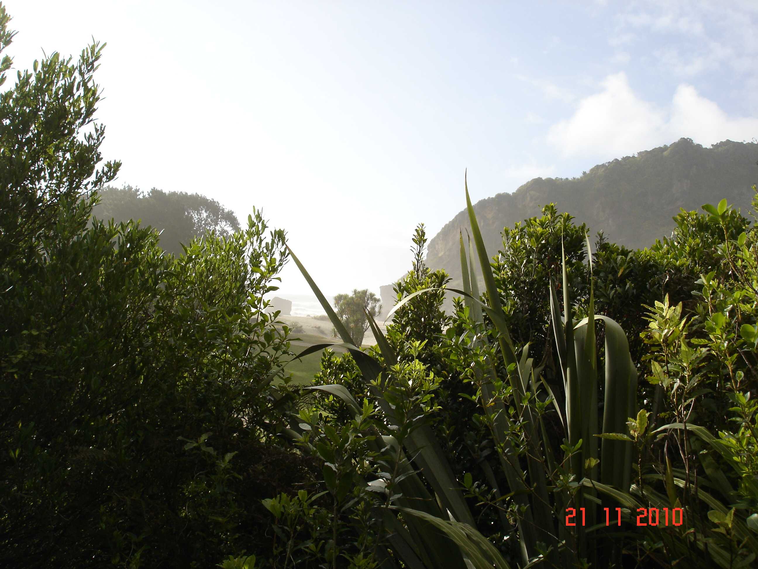 Heaphy Track-32