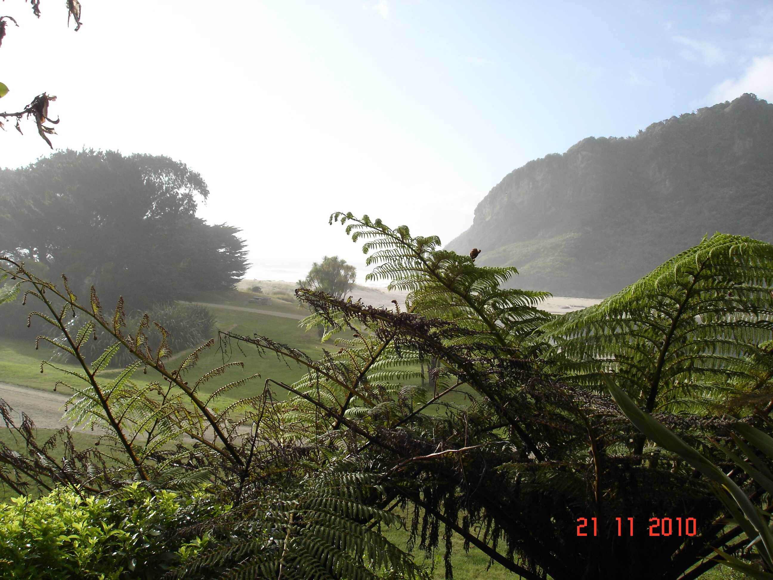 Heaphy Track-34