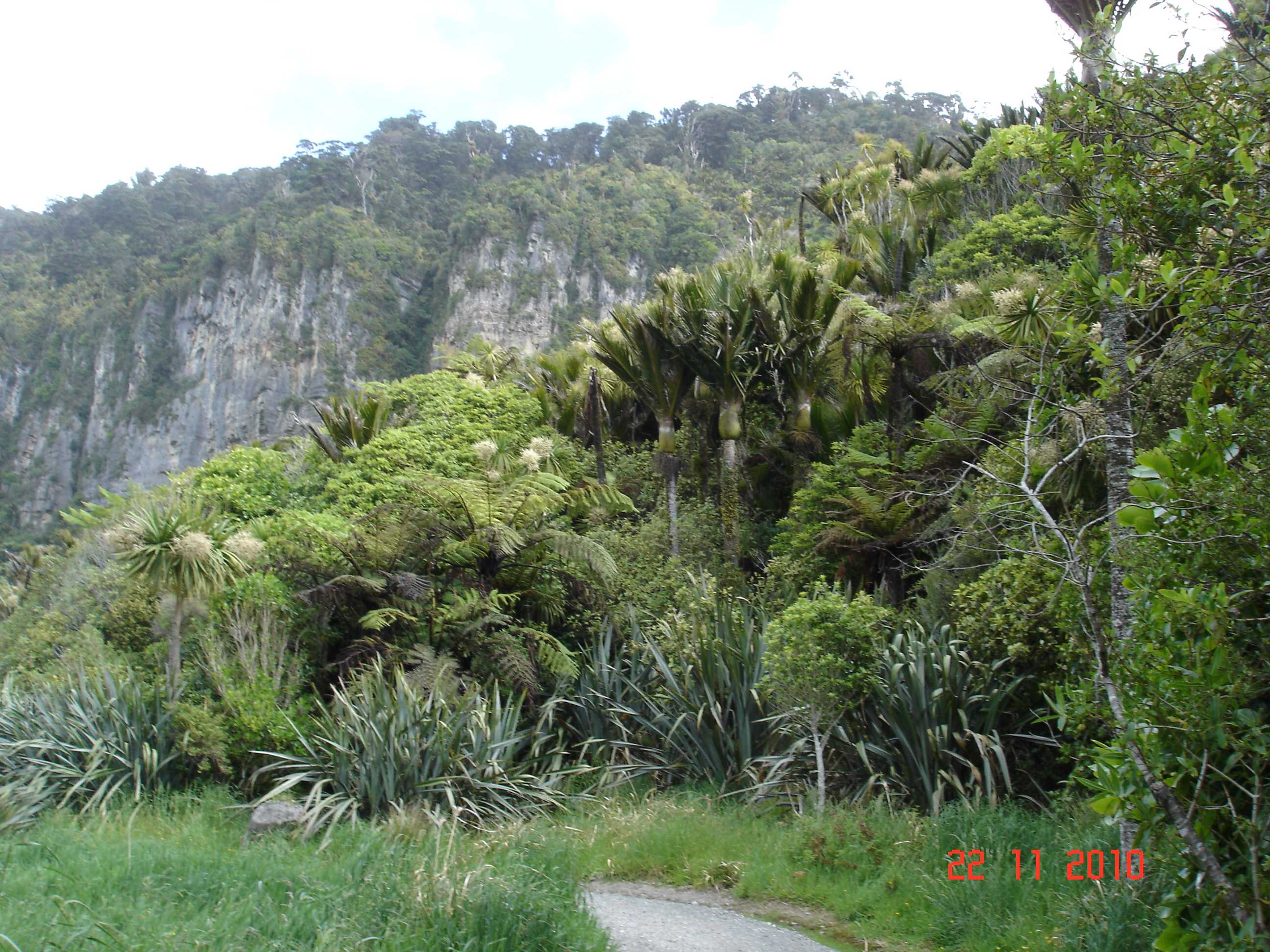 Pororari River Track-4