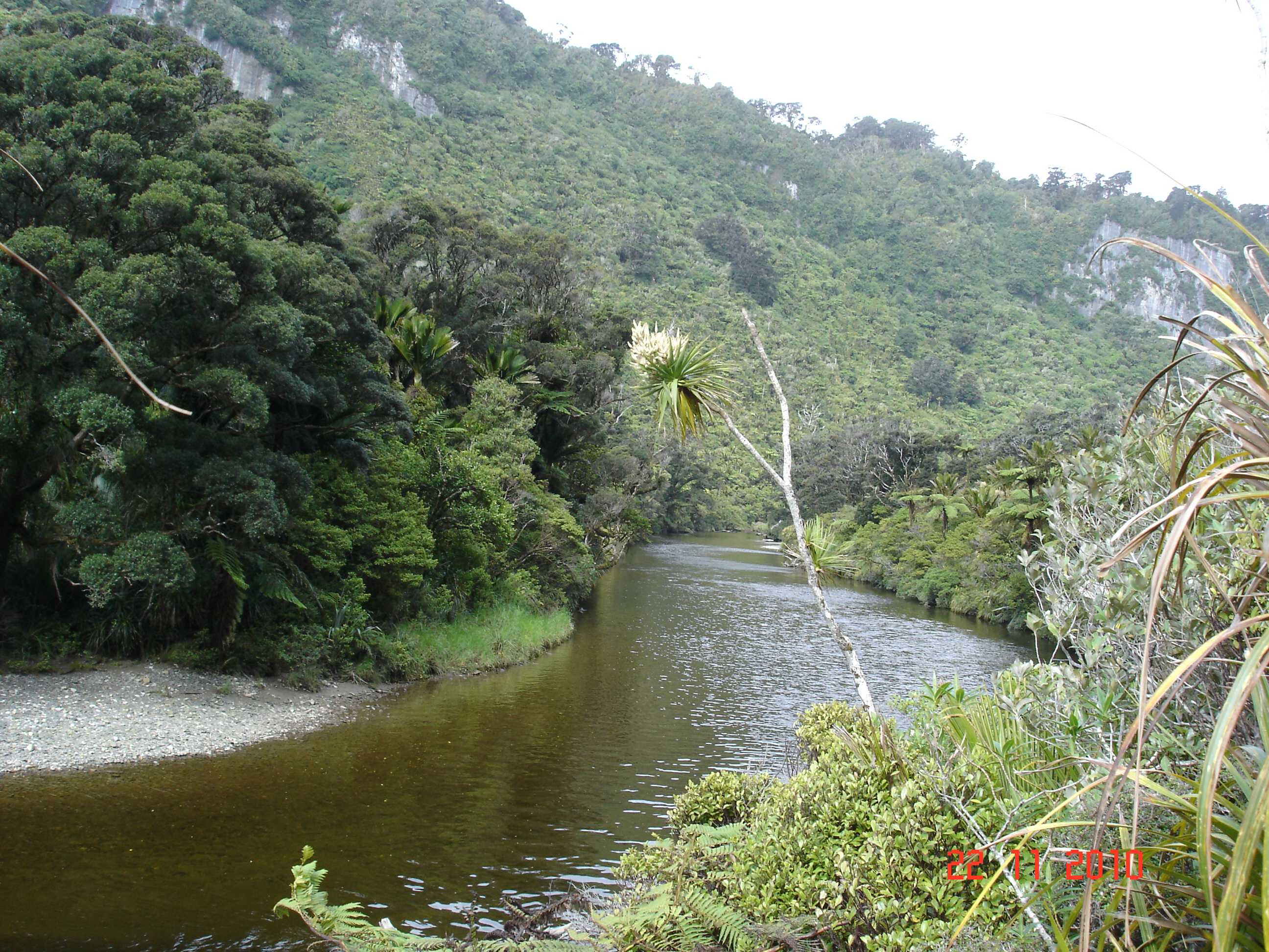 Pororari River Track-7