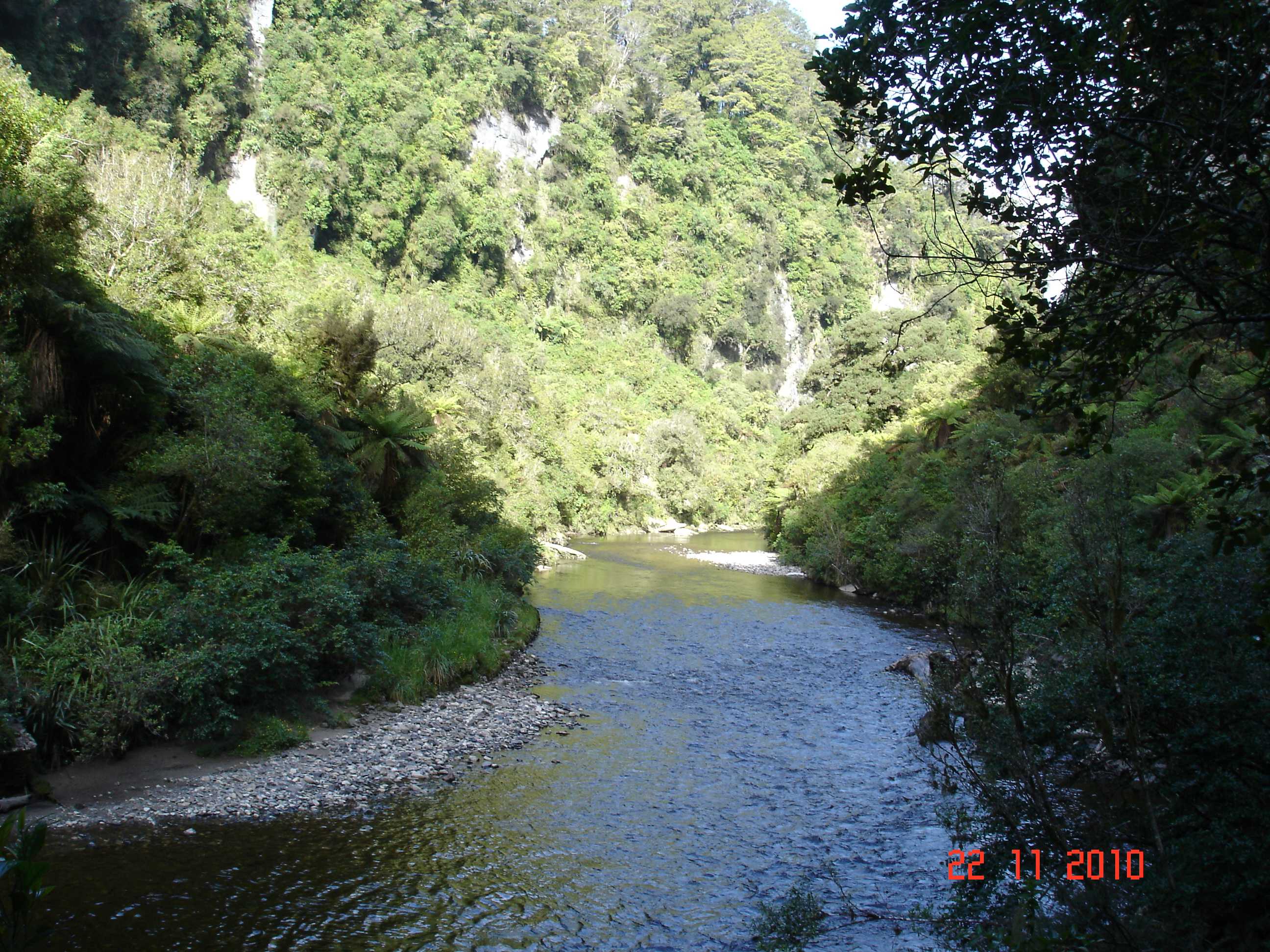 Pororari River Track-23