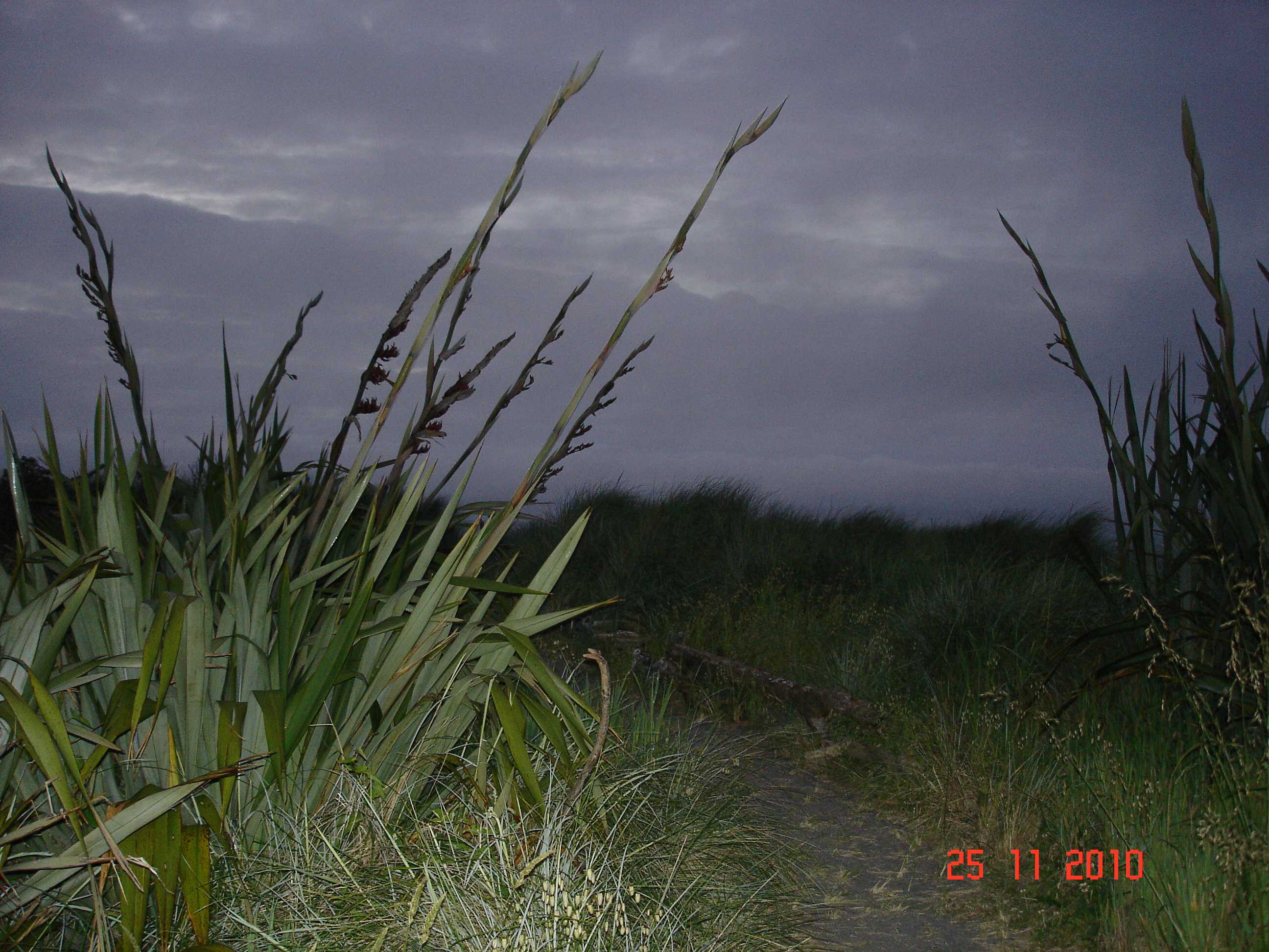 Hokitika-19