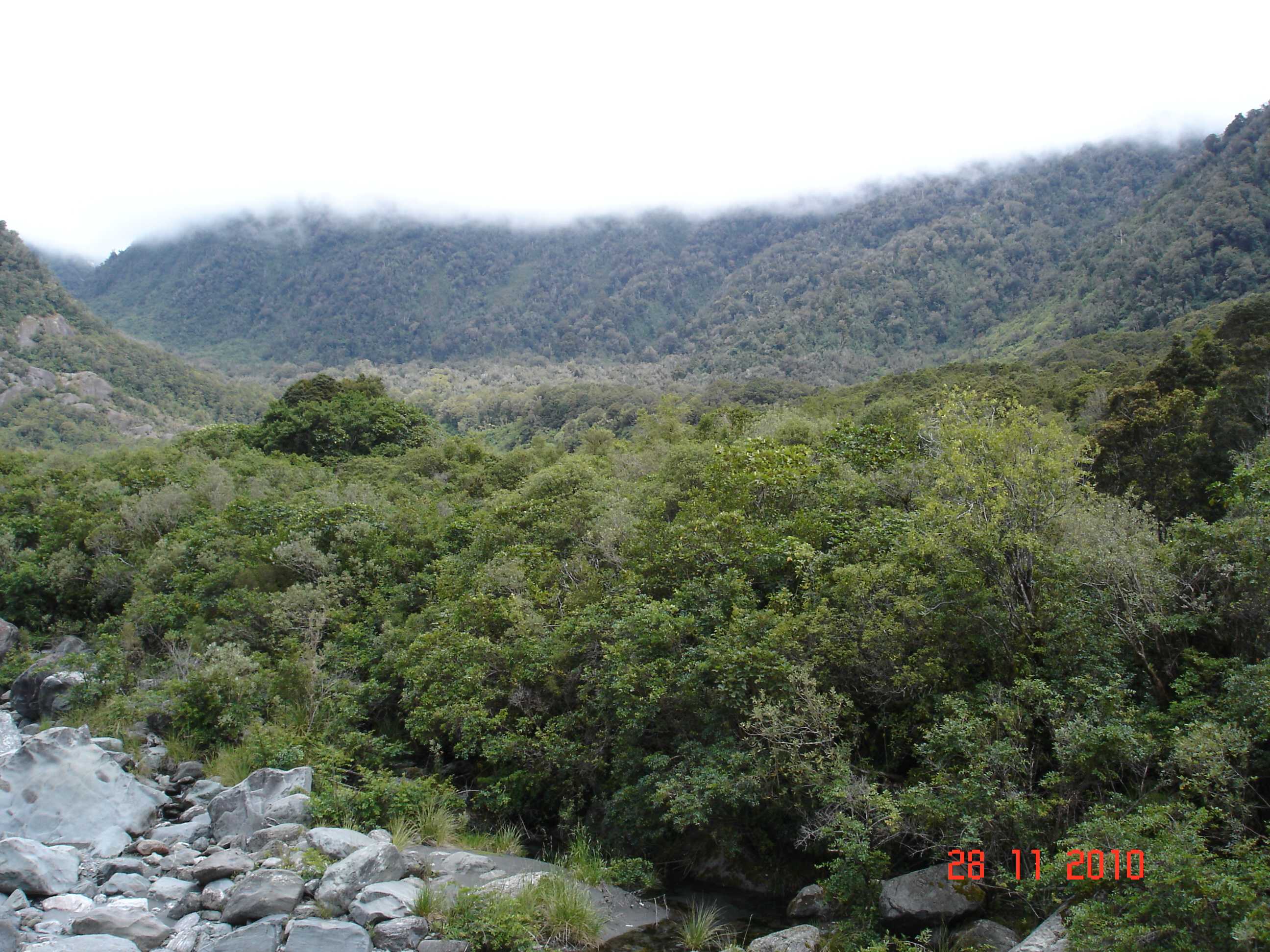 Fox Glacier-5