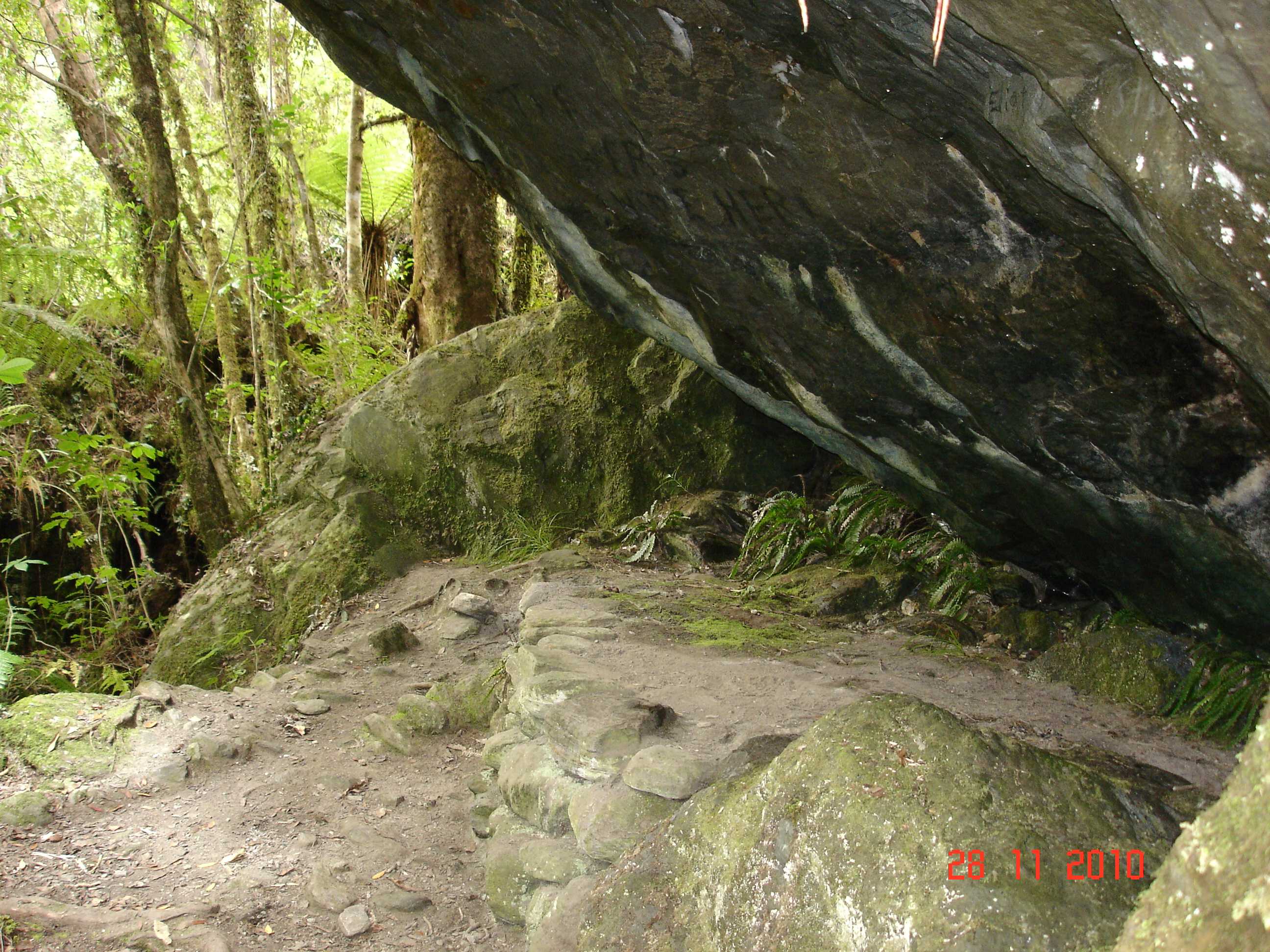 Fox Glacier-11