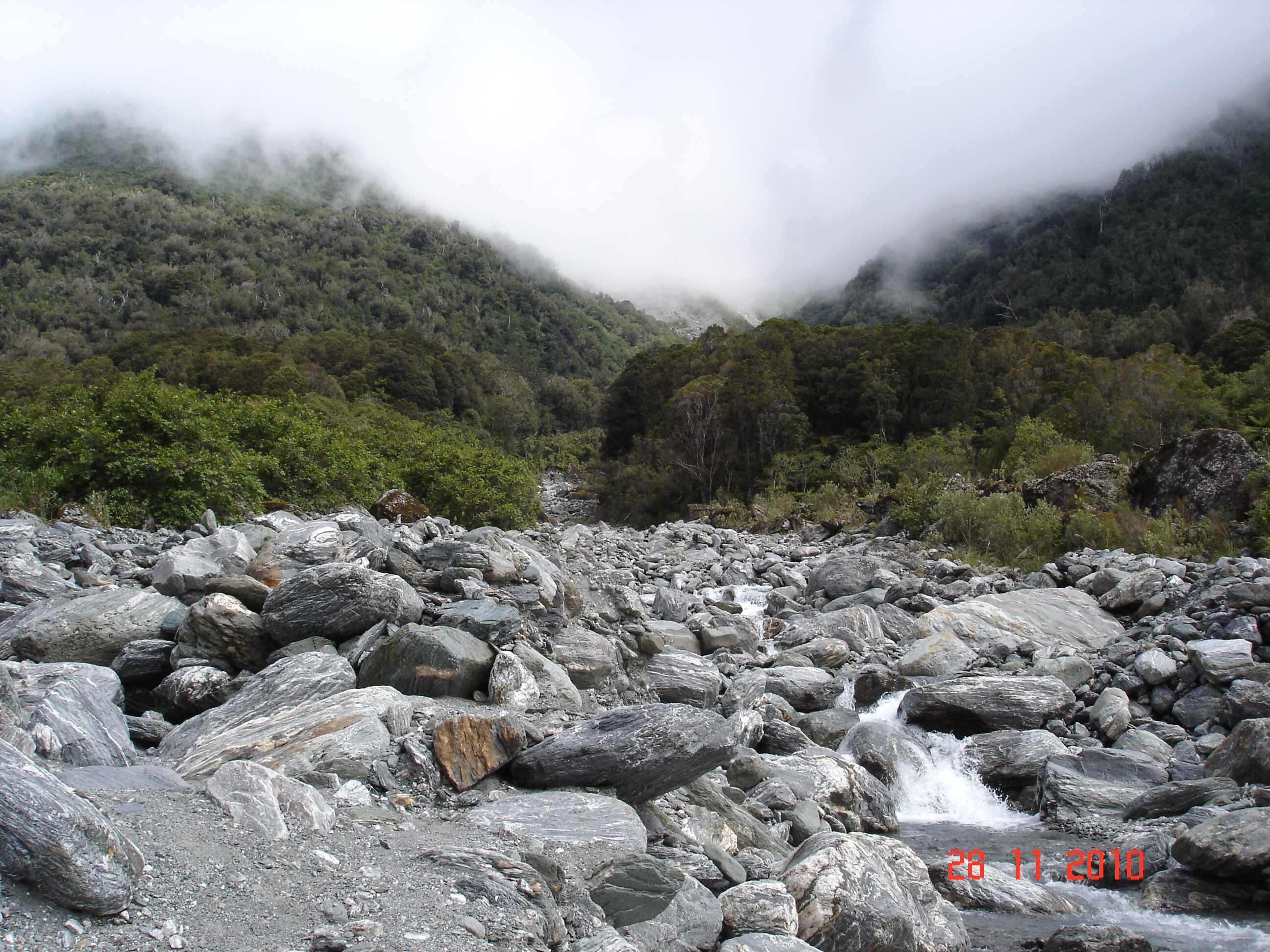 Fox Glacier-12