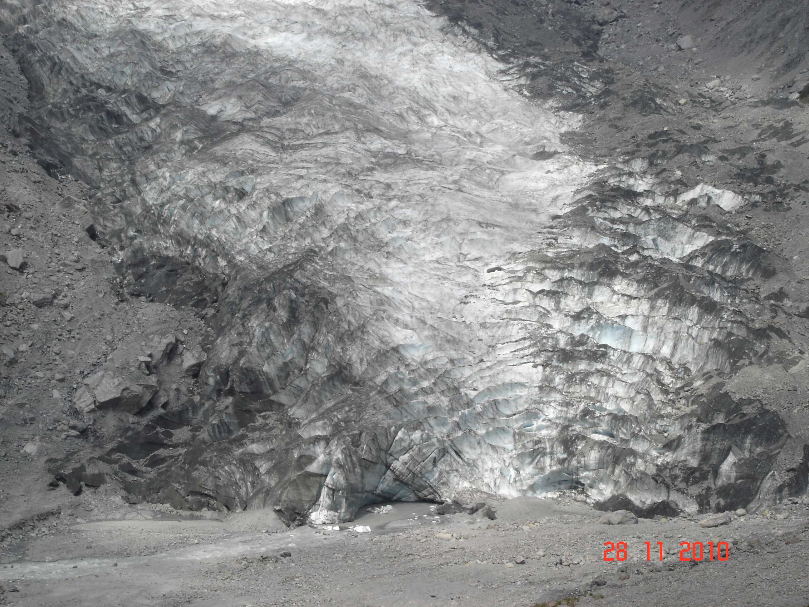 Fox Glacier-16