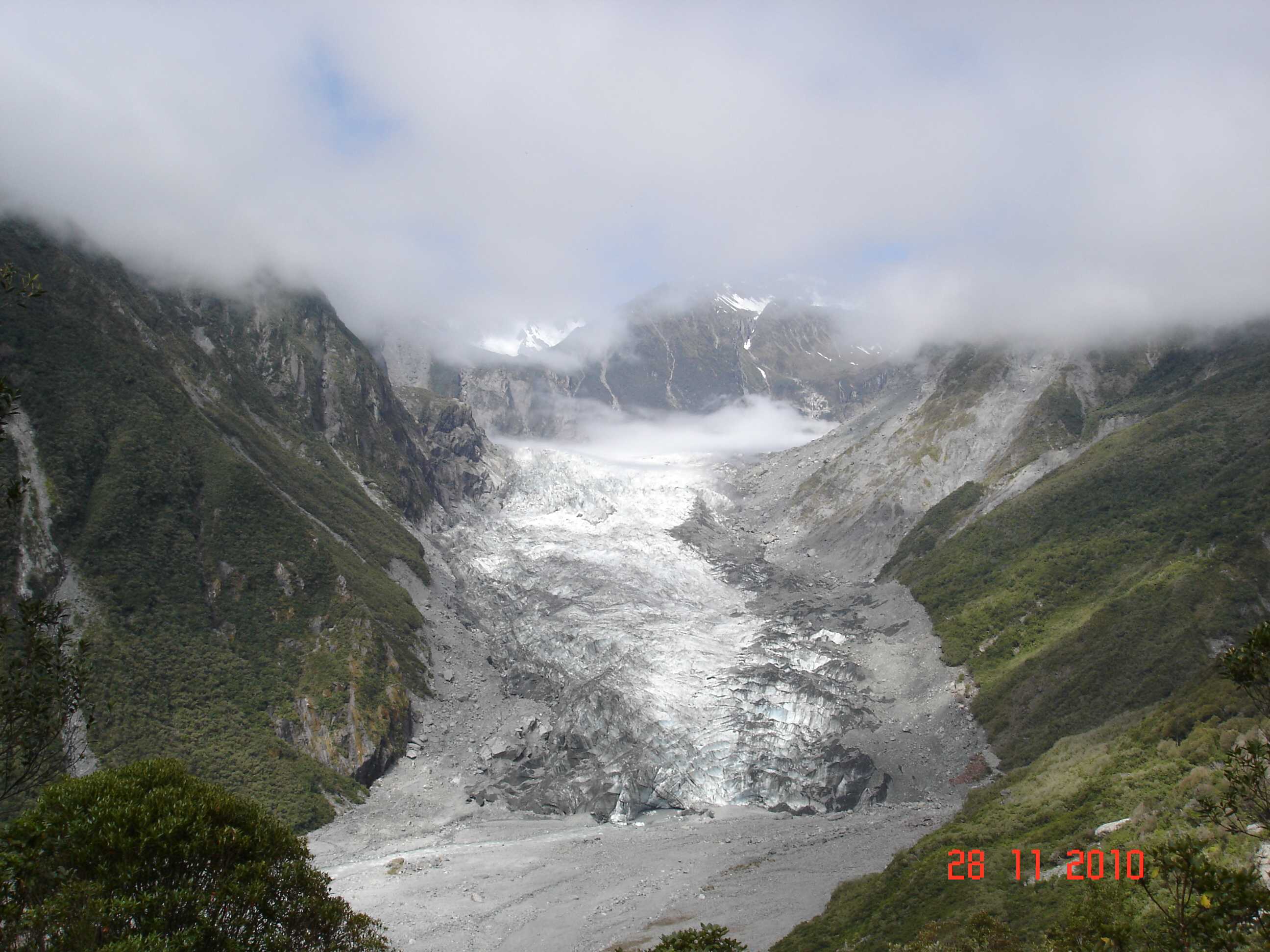 Fox Glacier-18