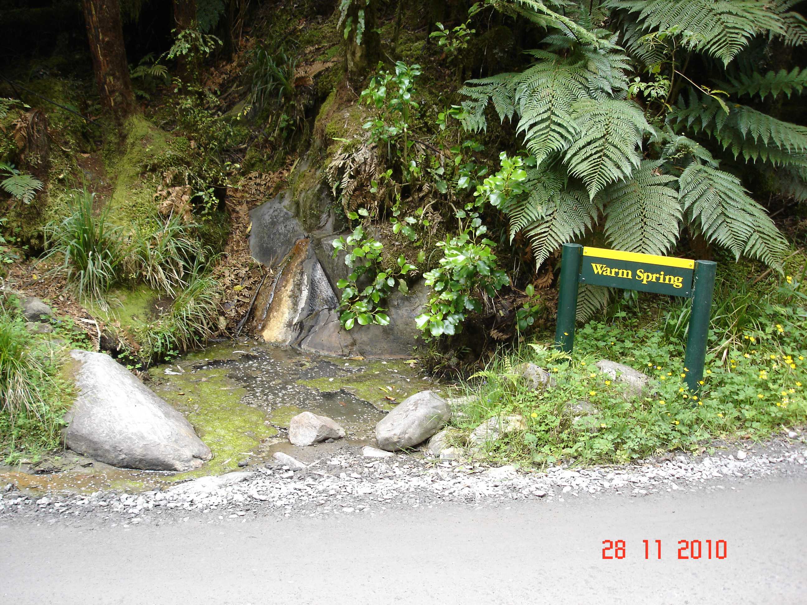 Fox Glacier-28