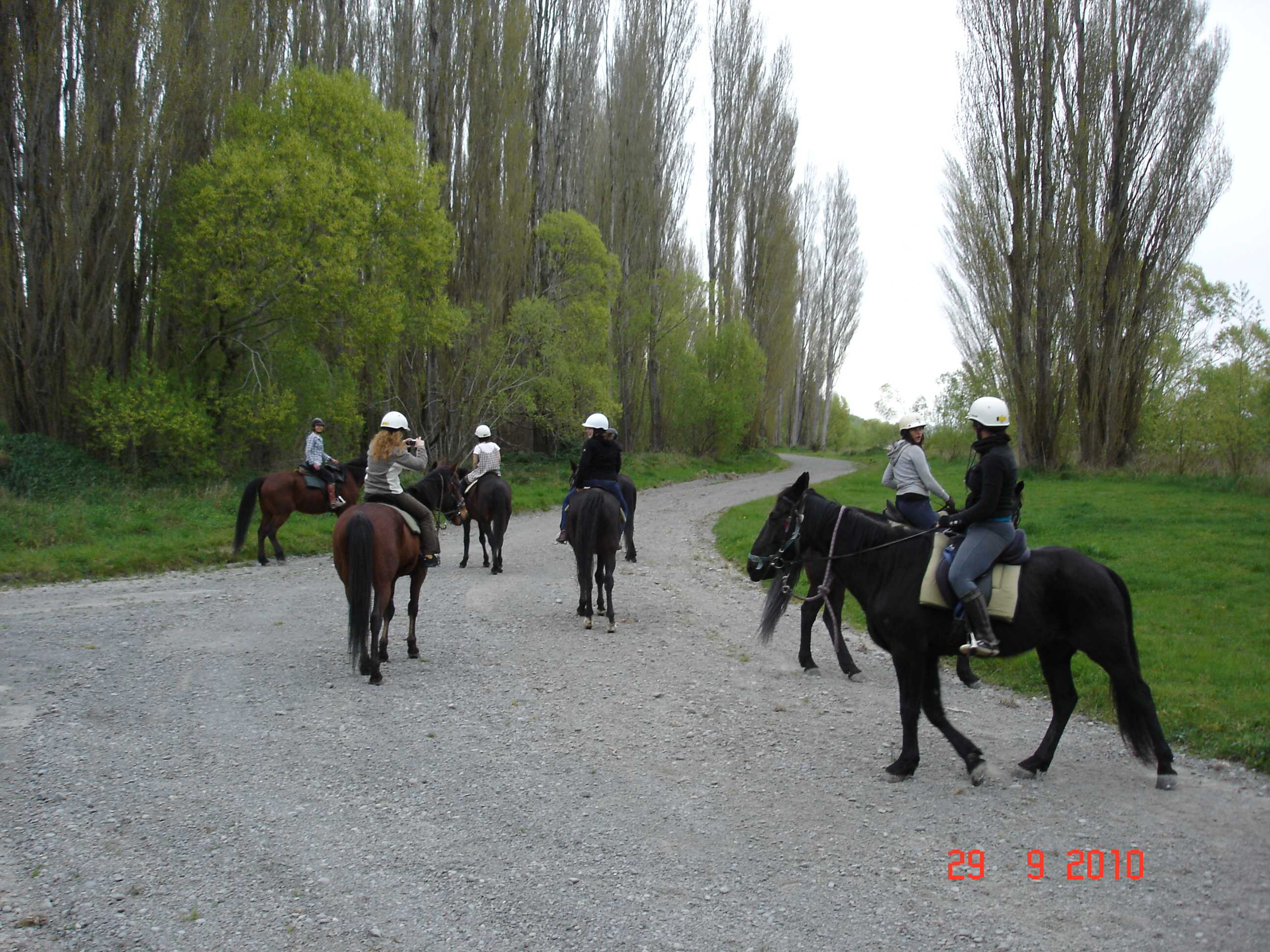 My first horse riding lesson-1