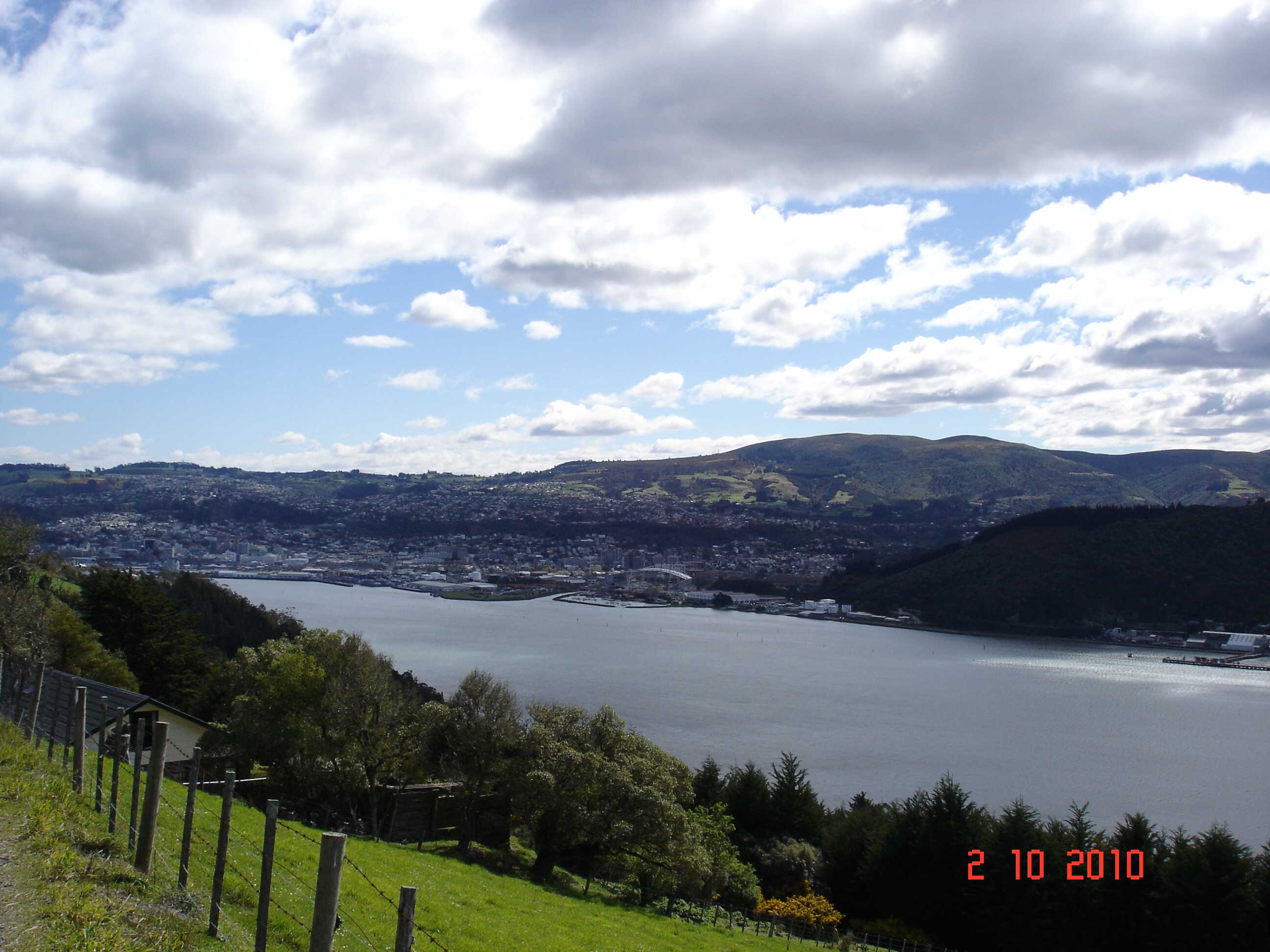 Dunedin-2