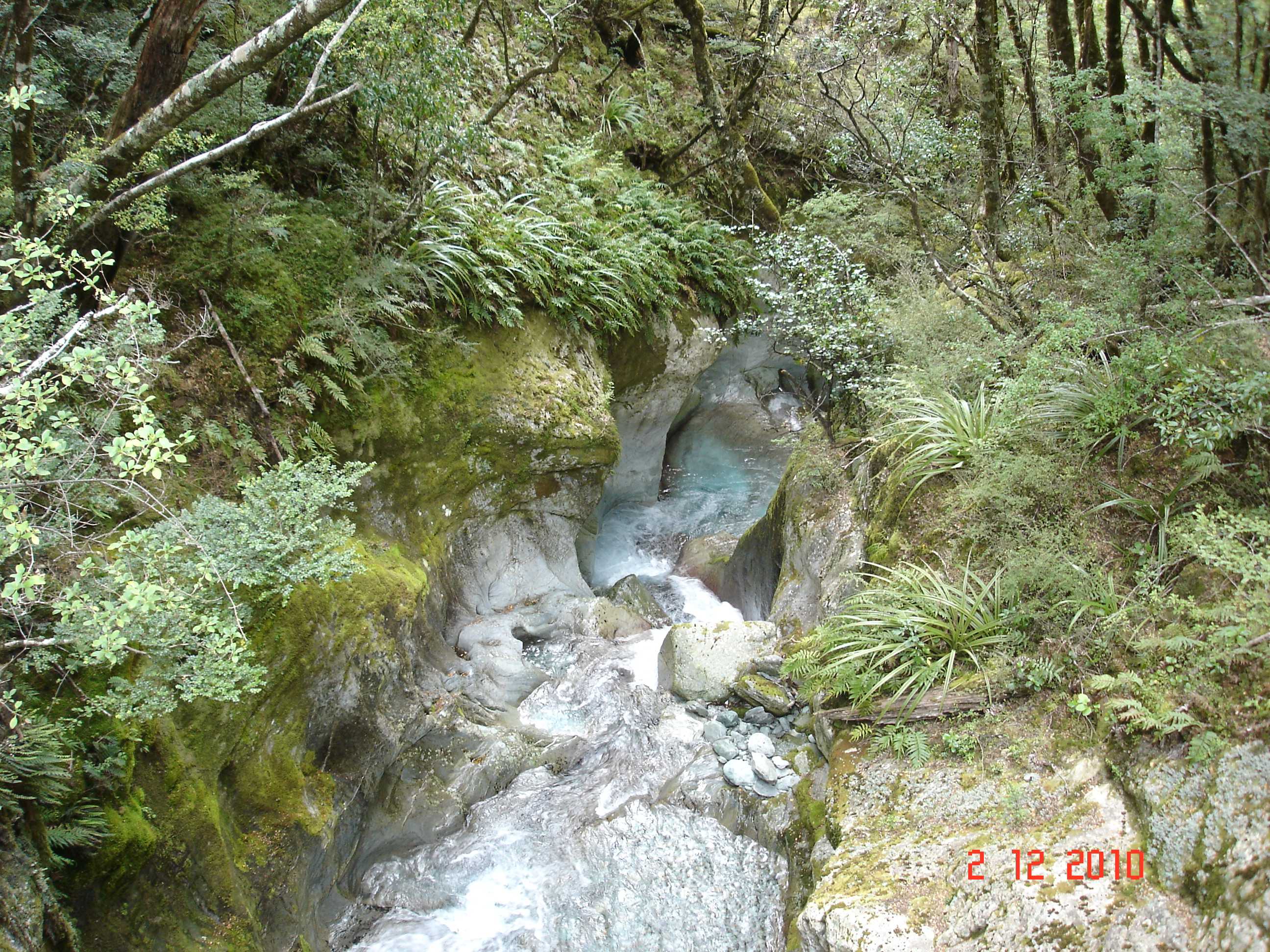 Routeburn Track-7