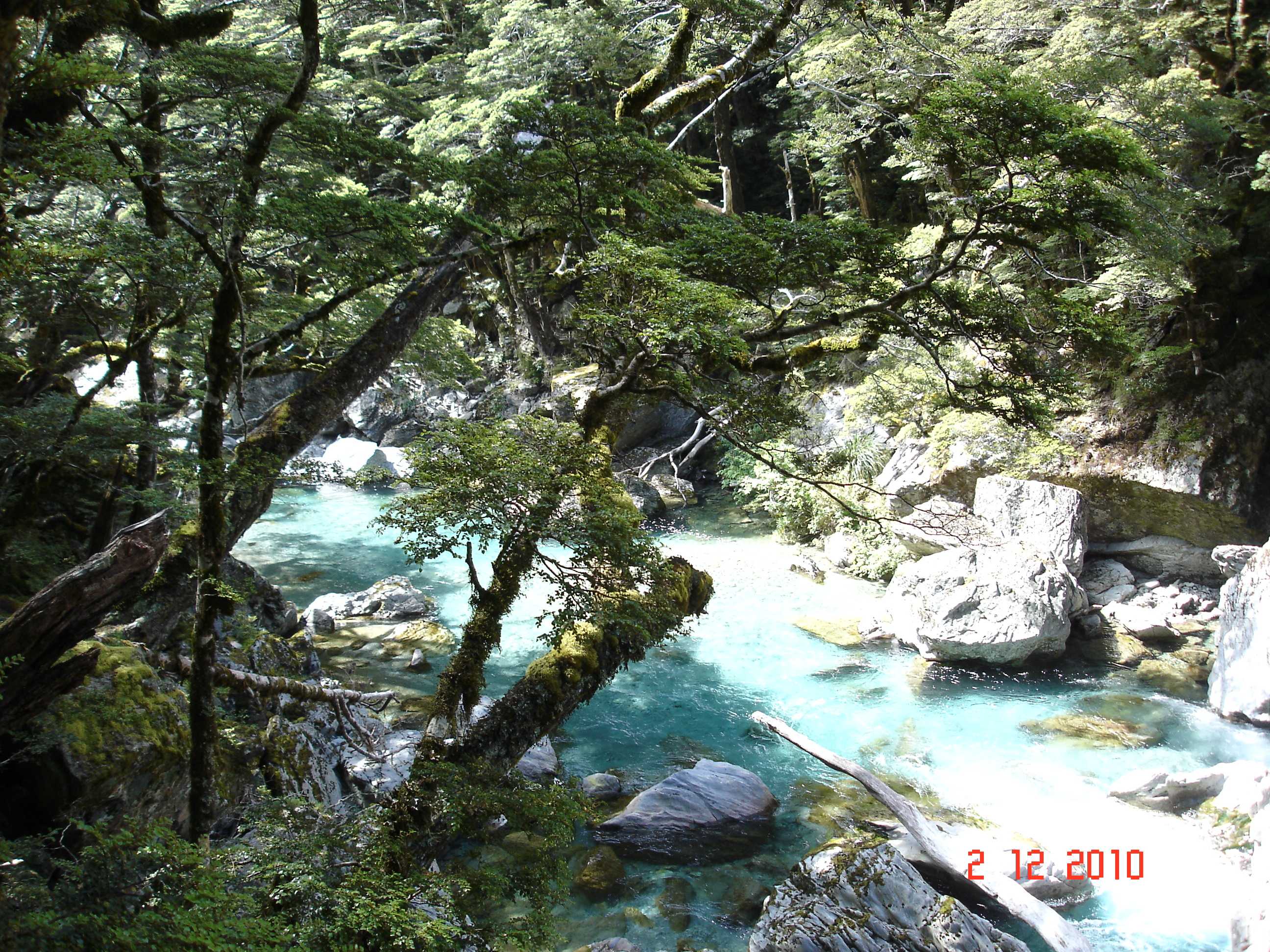 Routeburn Track-9