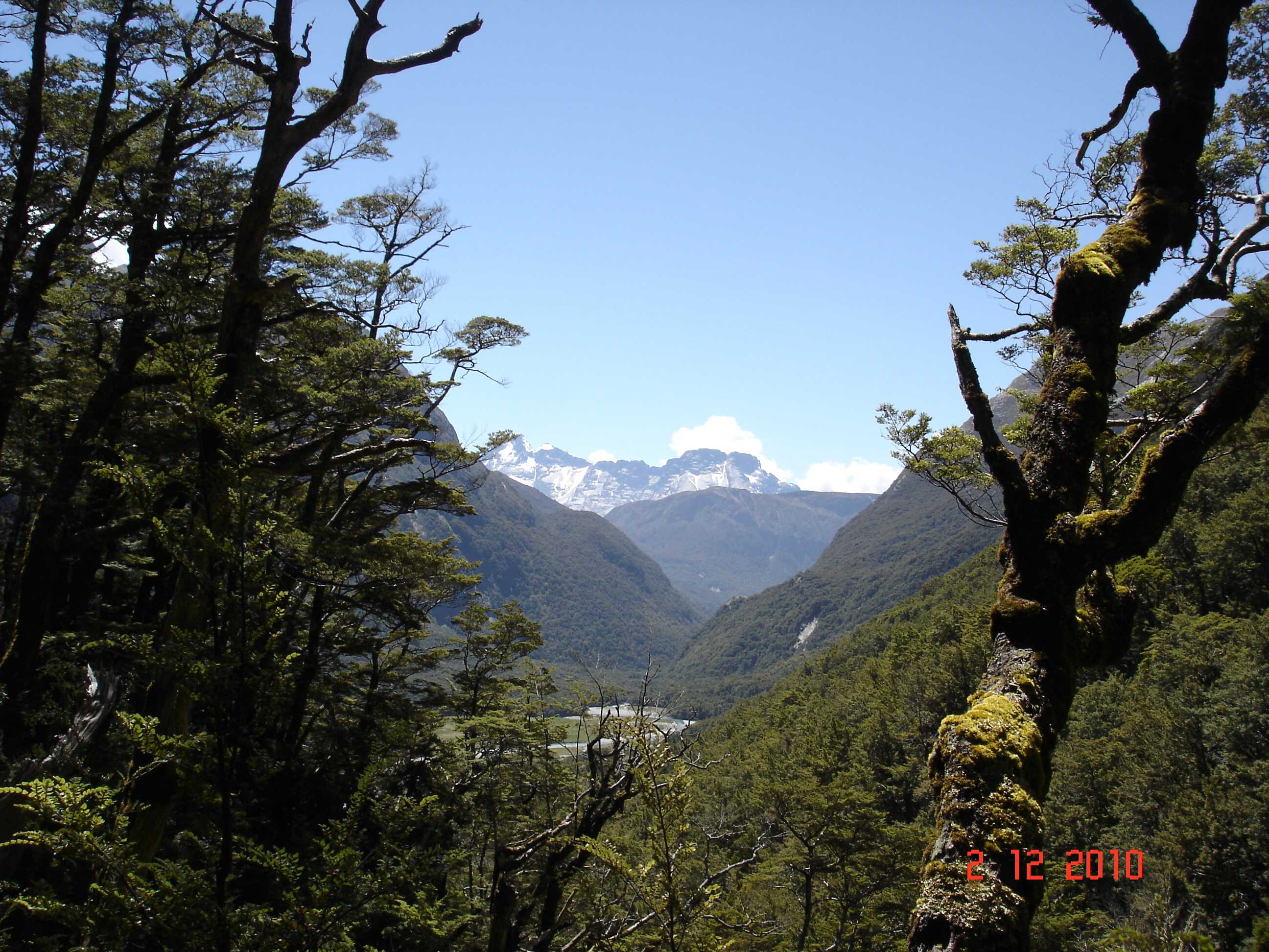 Routeburn Track-16