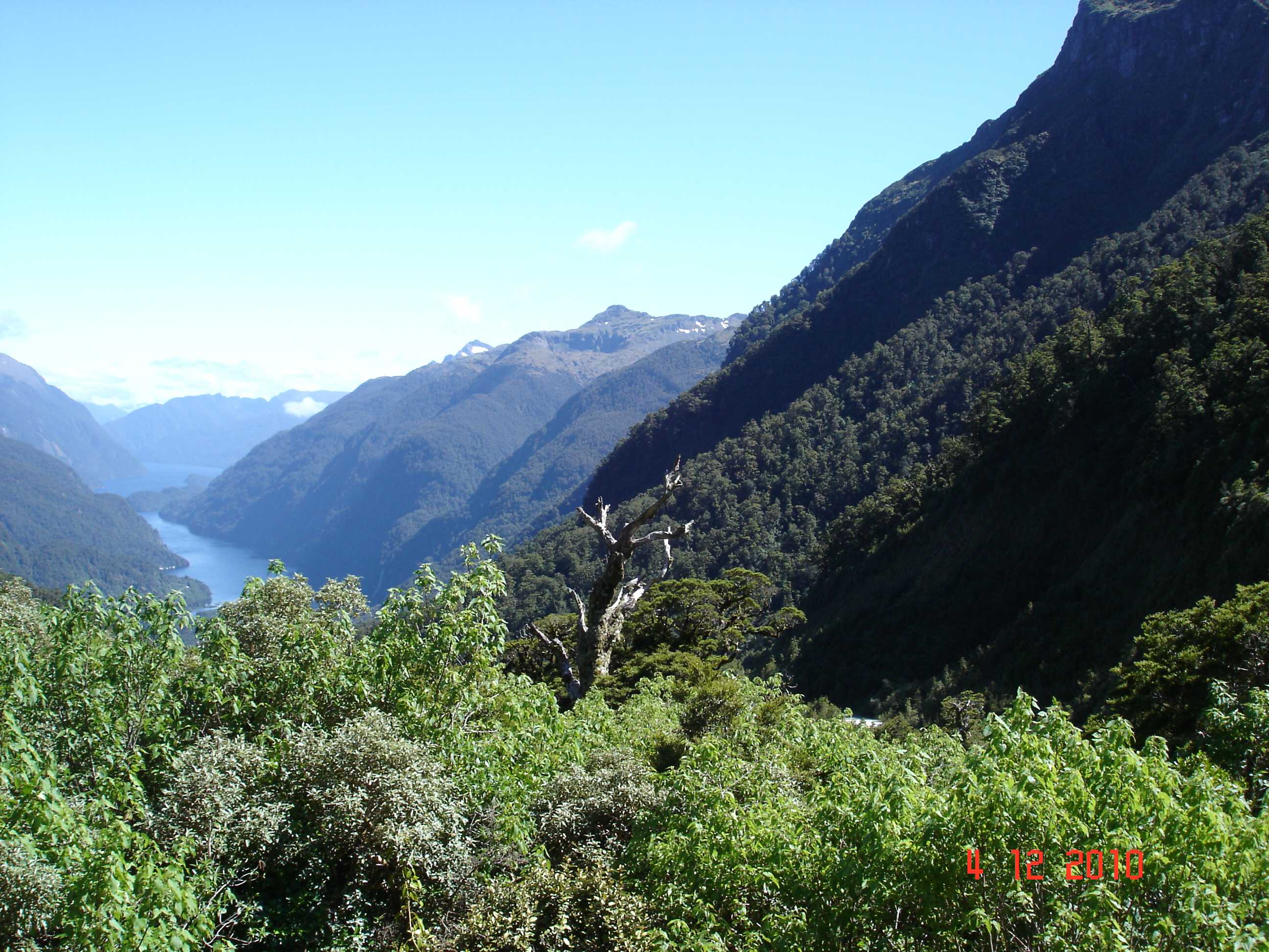 Doubtful Sound-5