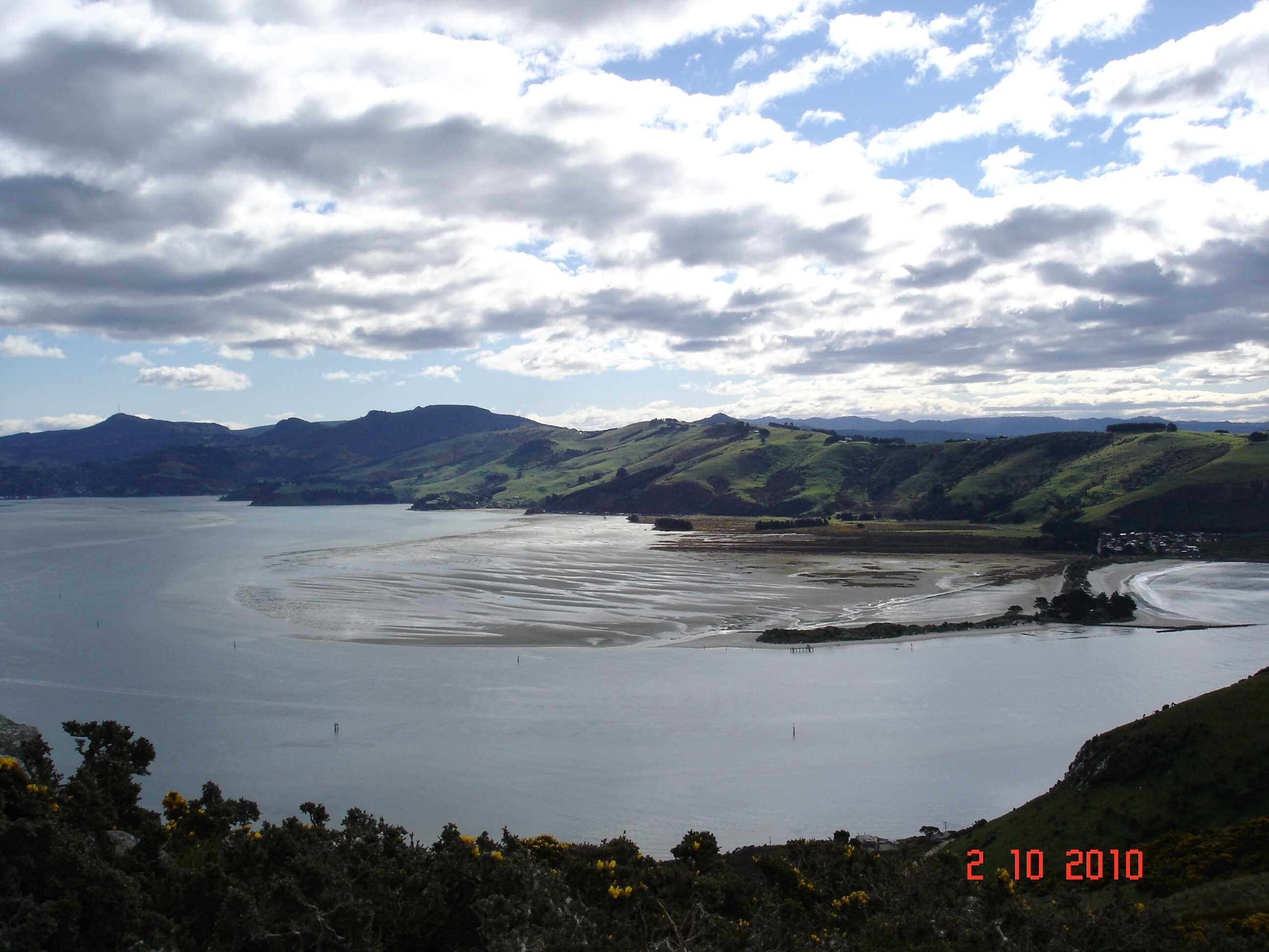 Dunedin-10