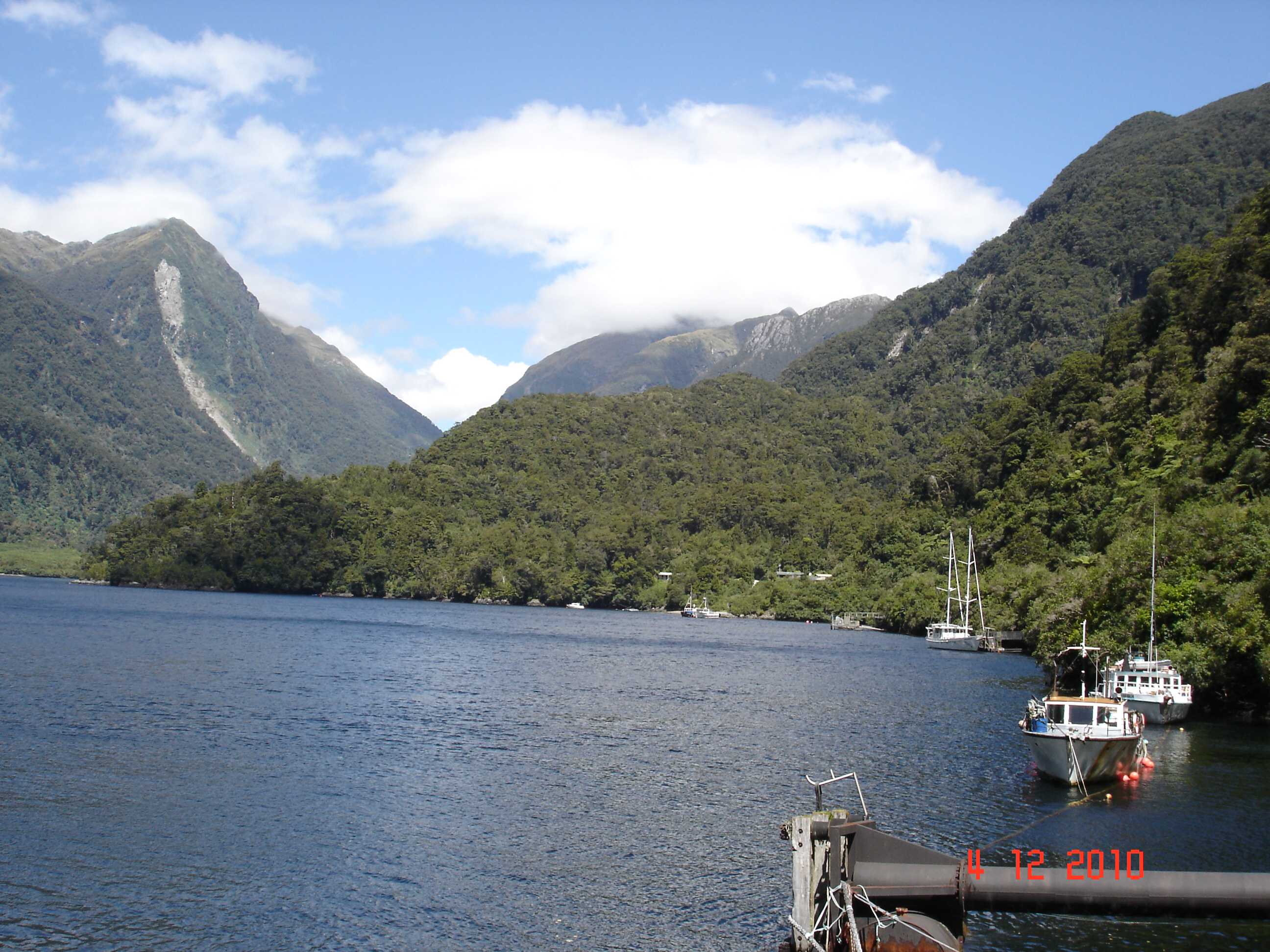 Doubtful Sound-41