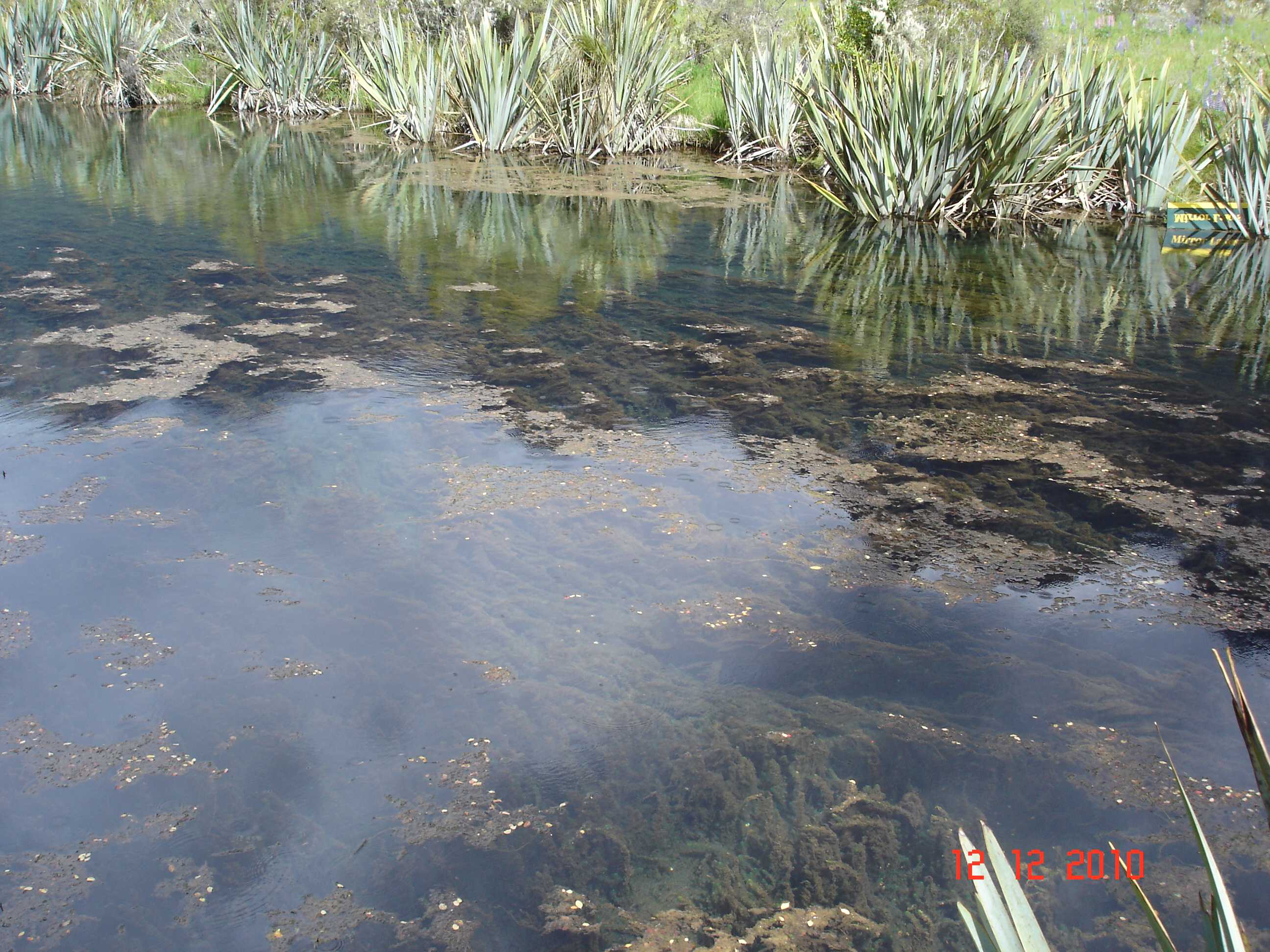 Mirror Lakes-5