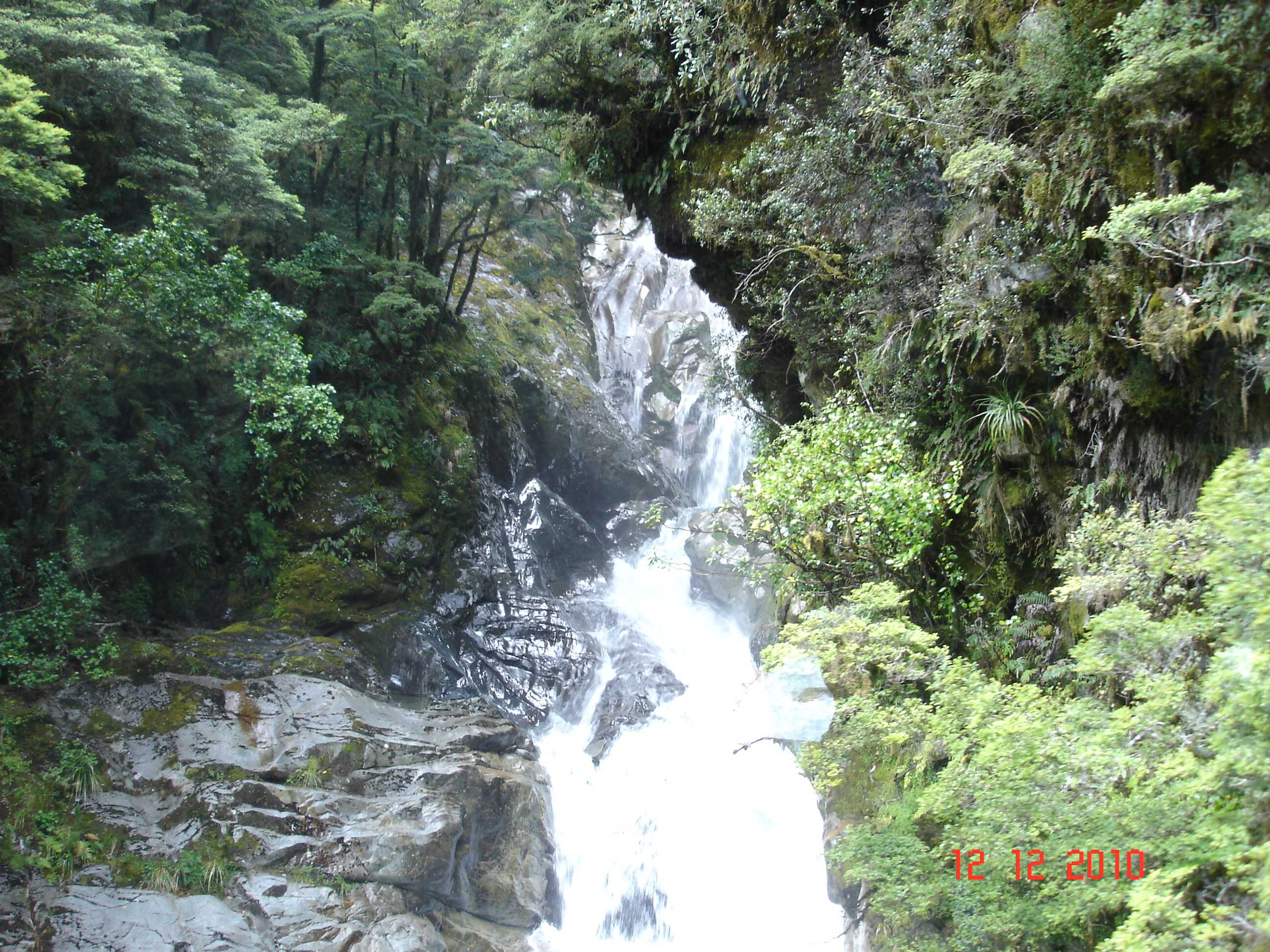On the way to Milford Sound-1
