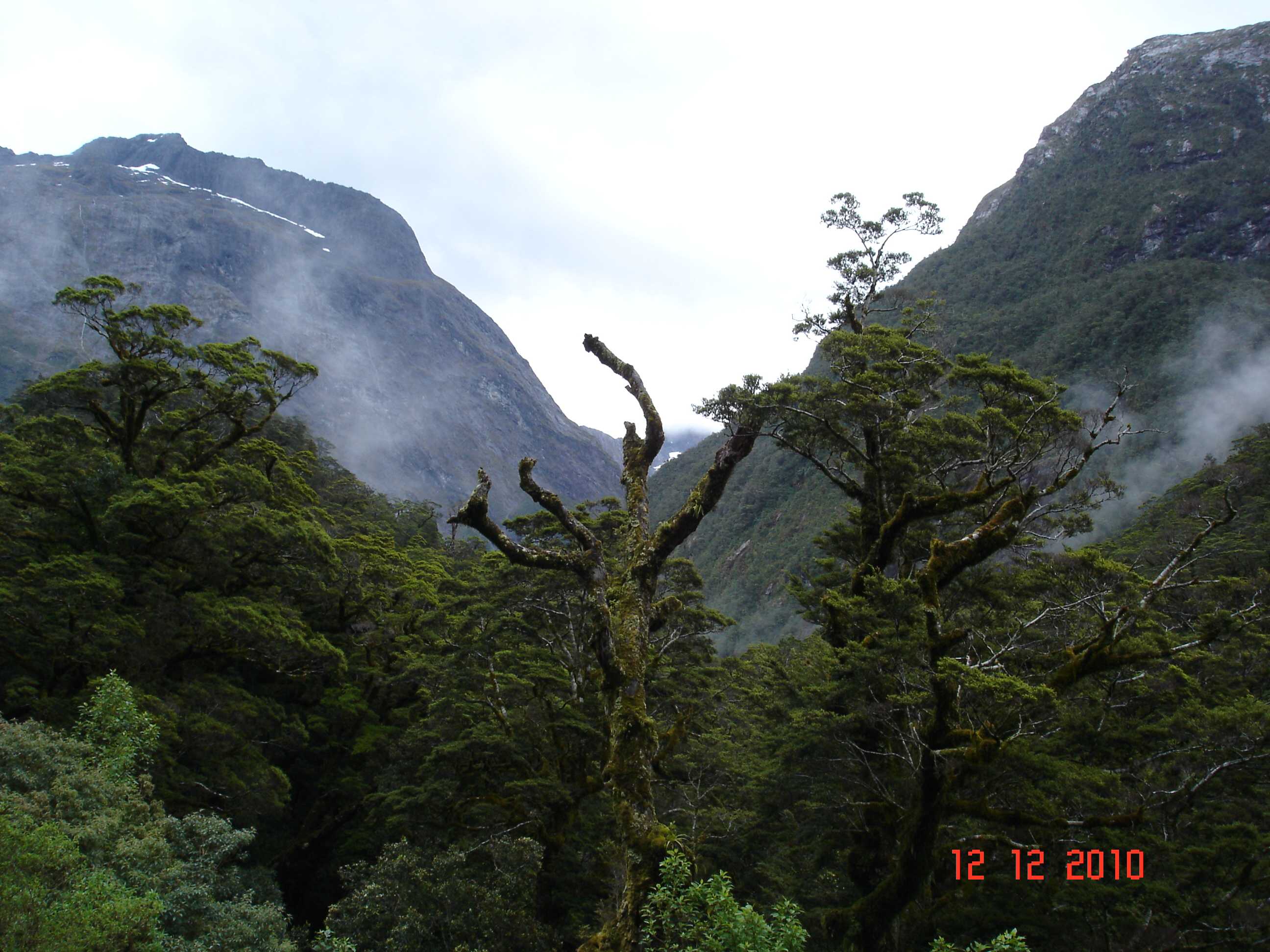 On the way to Milford Sound-15