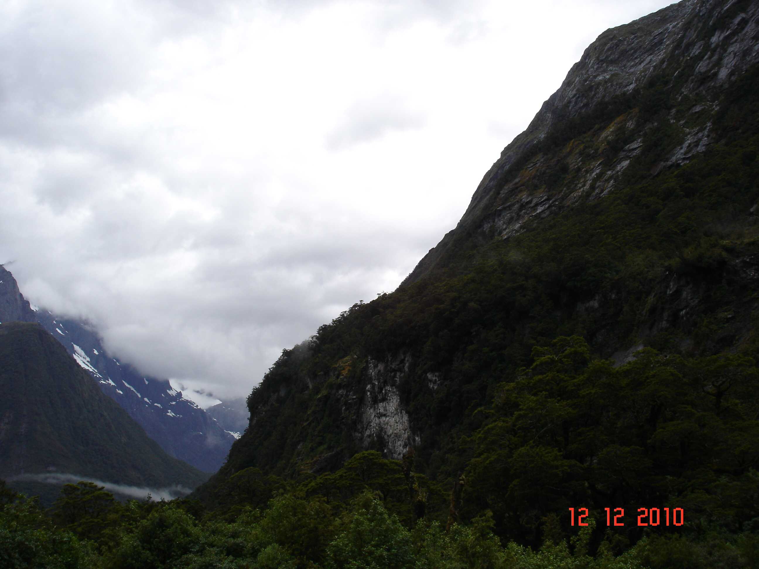 On the way to Milford Sound-16