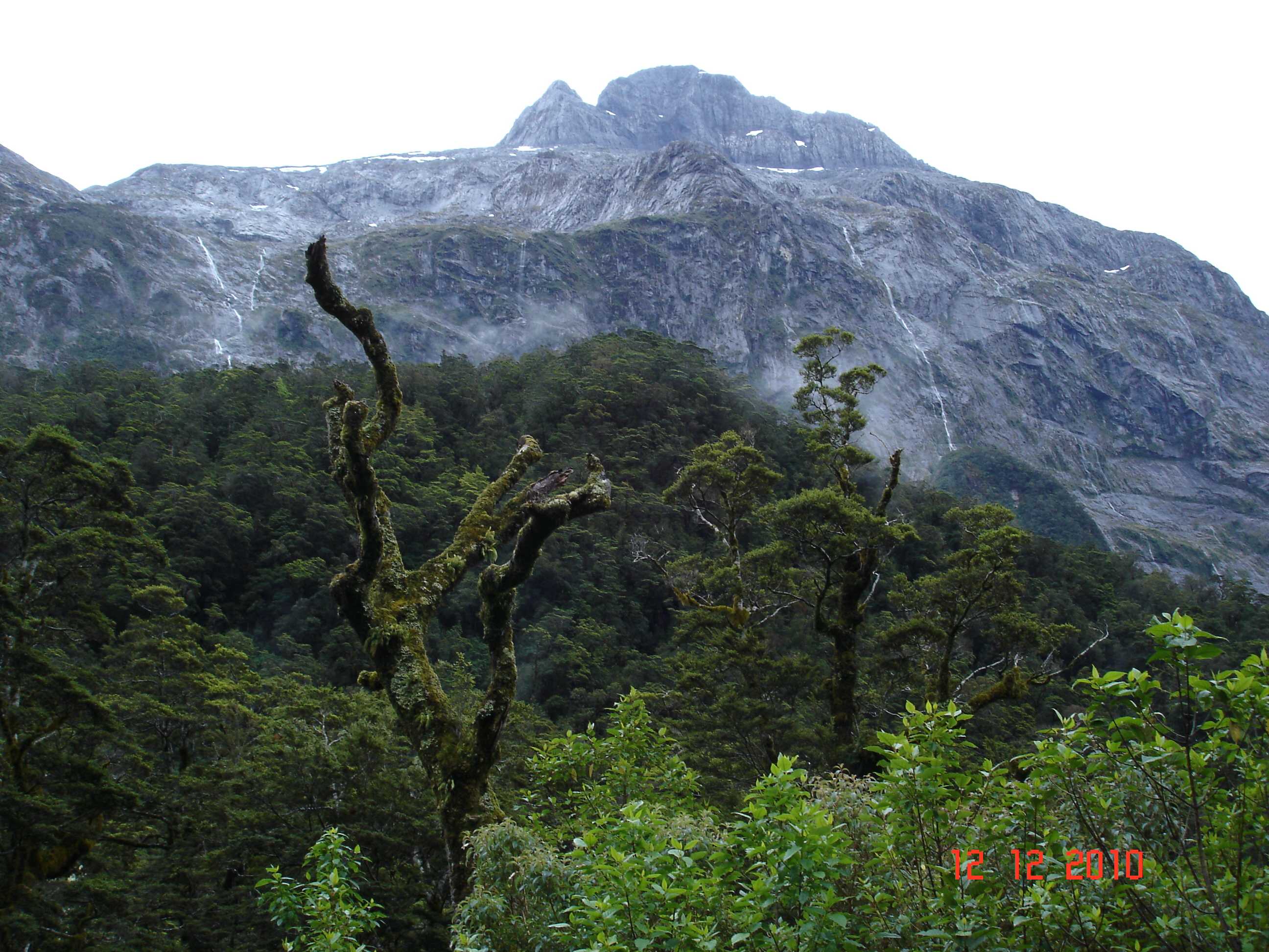 On the way to Milford Sound-17