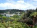 Stewart Island-4