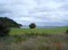 Stewart Island-36