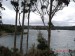 Stewart Island-37