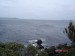 Stewart Island-46