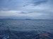 Stewart Island-63