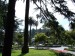 Park in Napier-2