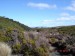 Trip to Lower Tama Lake close to Turangi-6