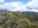 Abel Tasman National Park-2