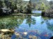 Te Waikoropupu Springs-3