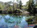 Te Waikoropupu Springs-4