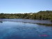 Te Waikoropupu Springs-13