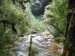 Oparara Arch Track-11