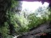 Oparara Arch Track-18