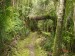 Heaphy Track-18