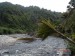 Heaphy Track-20