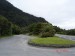 Fox Glacier-2