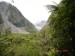 Fox Glacier-10