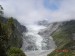 Fox Glacier-17